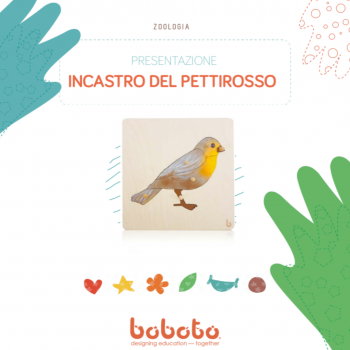 Nessuna immagine impostata 